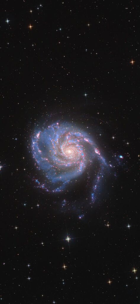 Pinwheel Galaxy | Andrew McCarthy