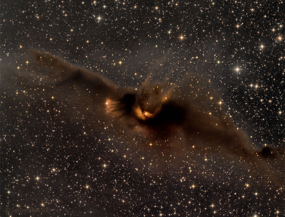 Space Image of the Day | 14 November 2024 | LDN 43 The Cosmic Bat Nebula