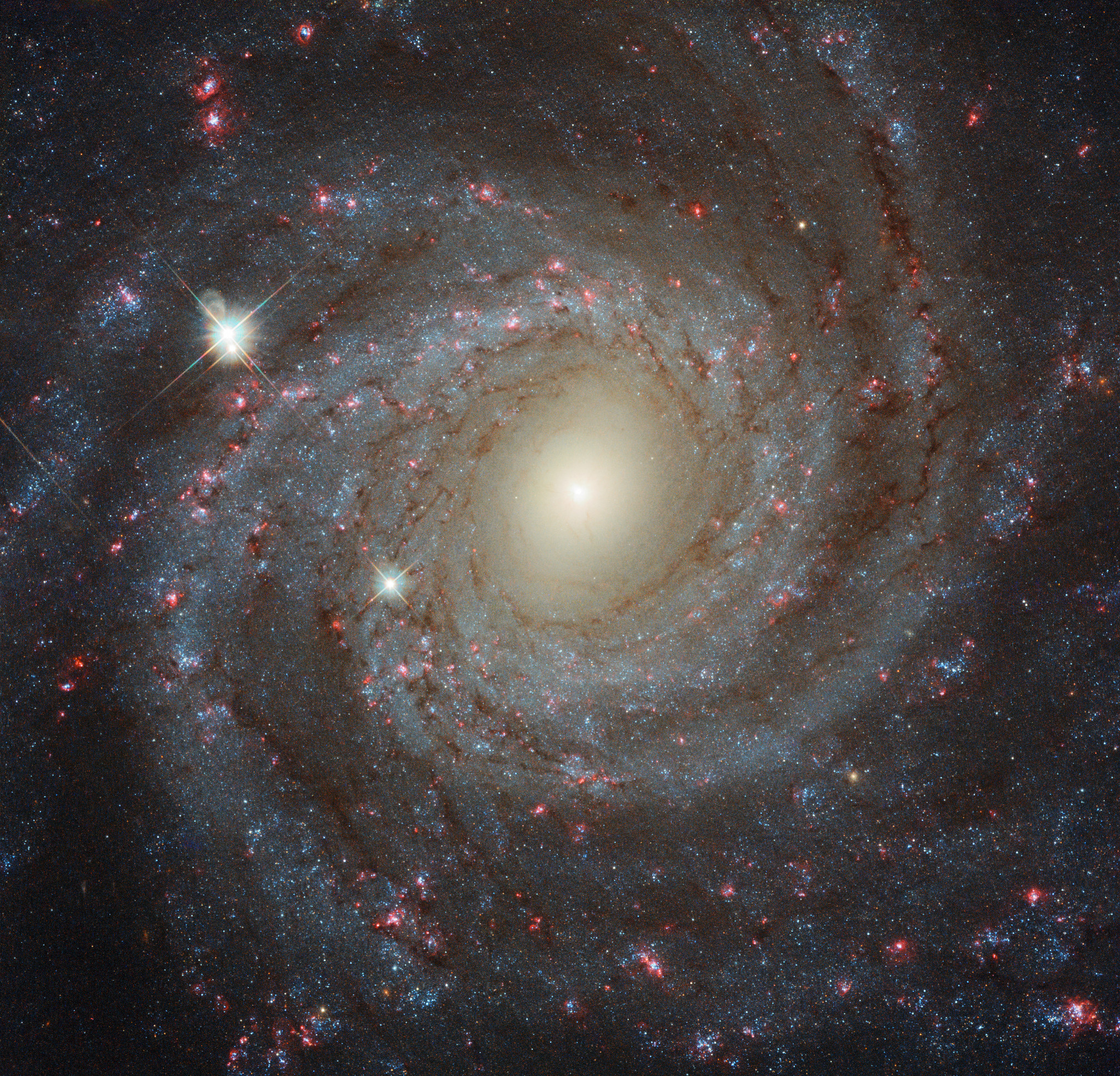 Hubble’s Face-On Portrait of Spiral Galaxy NGC 3344